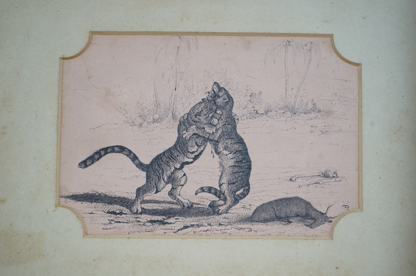 19th century School, pen and ink, Two tigers fighting over prey, monogrammed J.B., 12 x 17.5cm. Condition - poor to fair